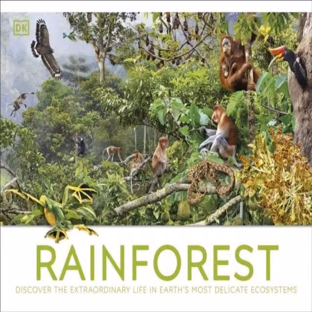 DK Rainforest Hardback Book, Multicolour