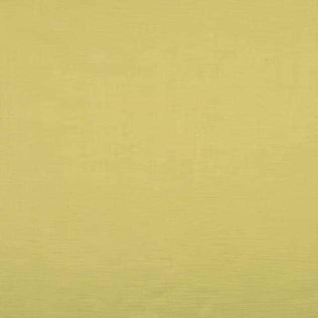 Terrys Plain Green Polyester Adult Fabric