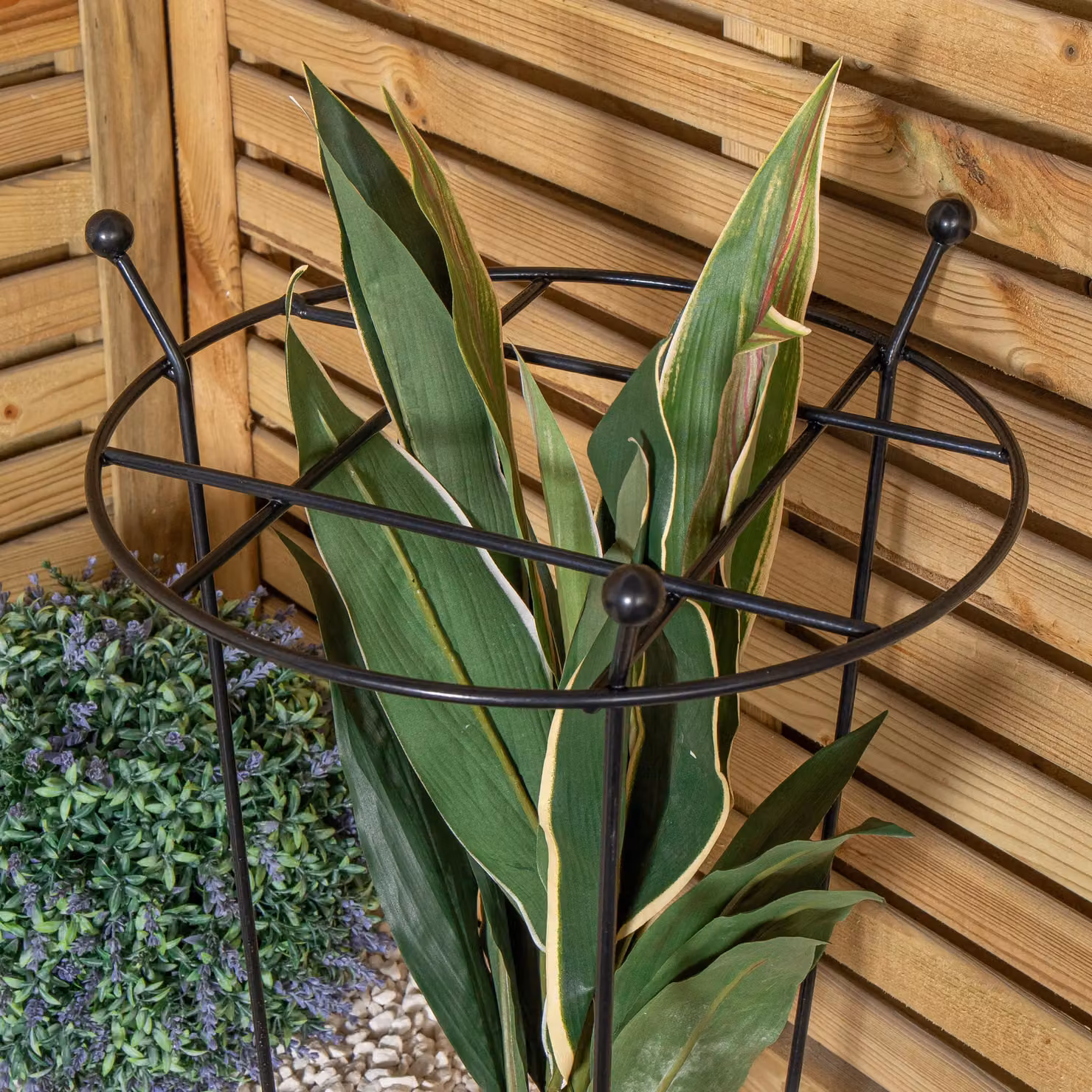 Samuel Alexander Tom Chambers Cottage Heavy Duty Black Metal Steel Herbaceous Garden Plant Support, W/D/H: 60 x 35 x 35 cm – 2