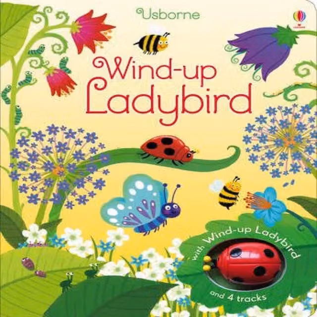 Fiona Watt Wind-up Ladybird Multicolour Paperback Book