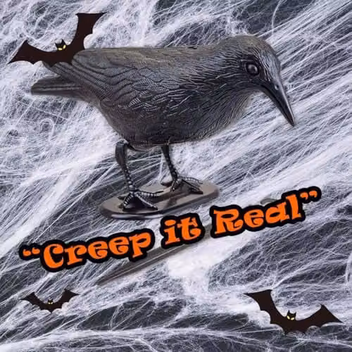 VFM e-Store Black Crow Halloween Decoration with Ground Spike – 5