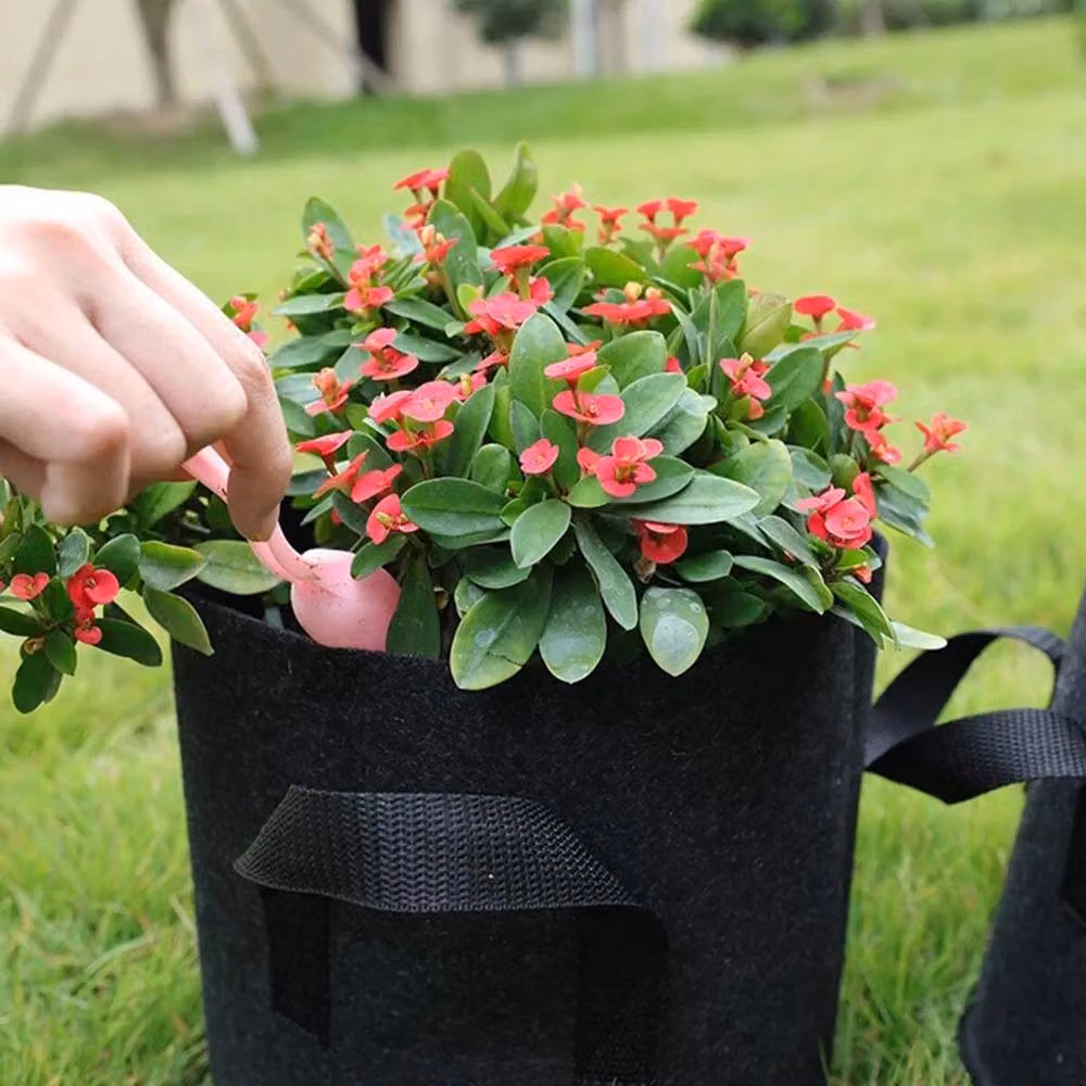 SPETLEK 10 Pack Black Plastic Potato Grow Bags and Planters for Vegetable Gardens – 3