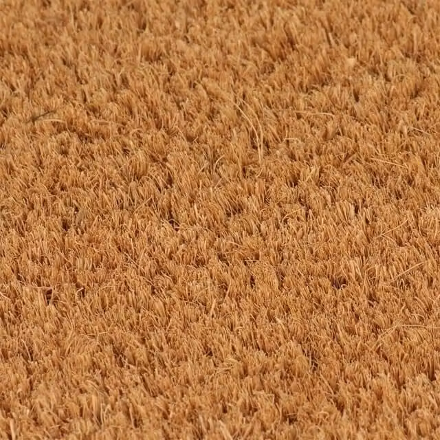 Berkfield Home Set of 2 Durable Tufted Coir Door Mats, Brown, W: 40 cm x D: 60 cm