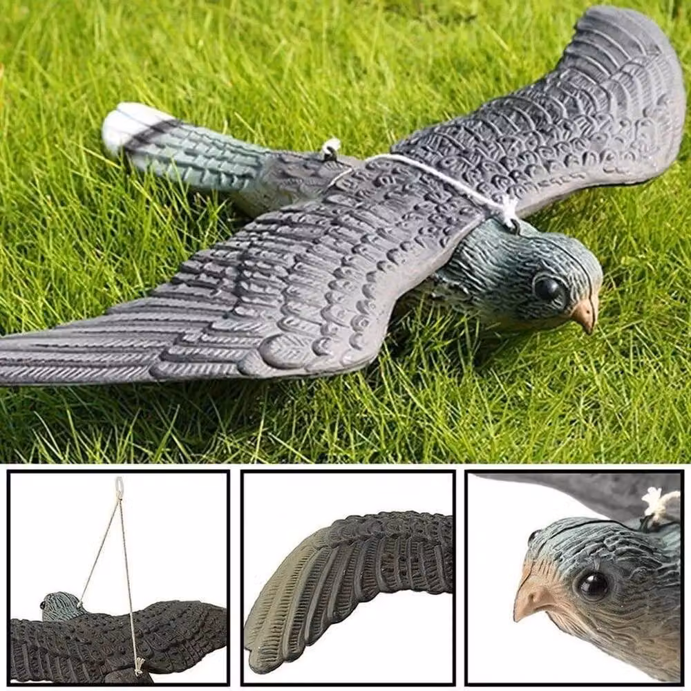 SPETLEK Flying Hawk Falcon Pest Repellent Deterrent Decoy in Grey, W/H: 100 x 15 cm – 2