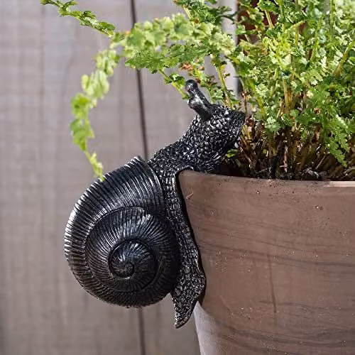 Jardinopia Snail Plant Pot Hanger in Bronze, W: 5 cm, D: 10.5 cm, H: 7 cm – 1