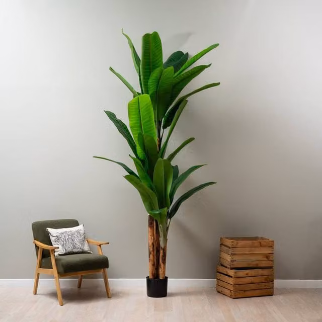 Scottish Everlastings Ltd 260 cm Real Touch Banana Tree in Green – 1