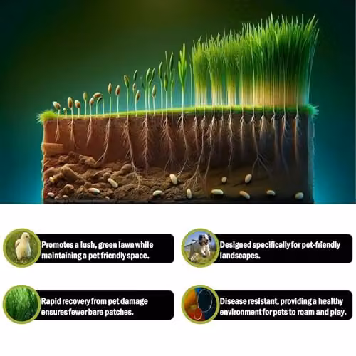 PDL Pegdev Pet Friendly Grass Seed for Lawns and Pastures, 20kg – 3