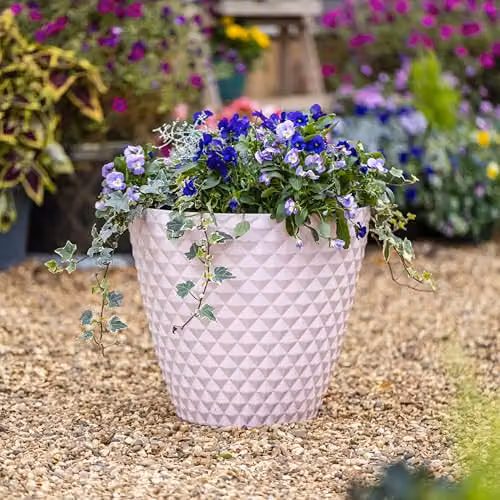 Garden Gear Diamond Planter Pink, W: 39.5 cm, D: 35.0 cm, H: 39.5 cm – 2
