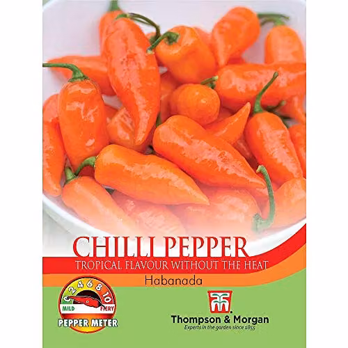Thompson and Morgan Habanada Chilli Pepper Seeds, Orange, 5 Seeds per Packet – 2