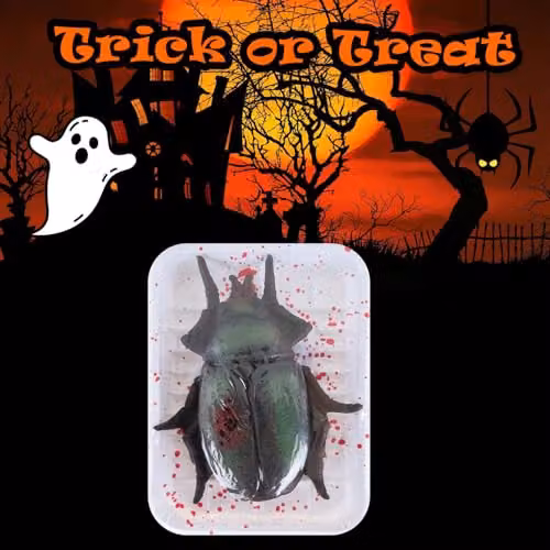VFM e-Store Black Plastic Halloween Insect Decoration for Adults, 18.5 cm – 5