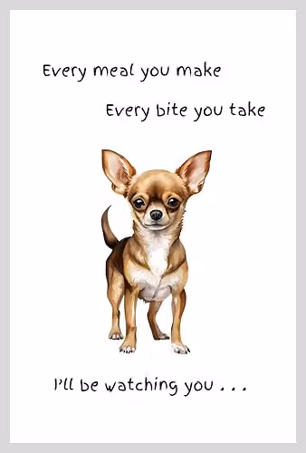 Animal Crackers Chihuahua Dog Novelty Cotton Tea Towel in White and Grey, 66 cm – 4