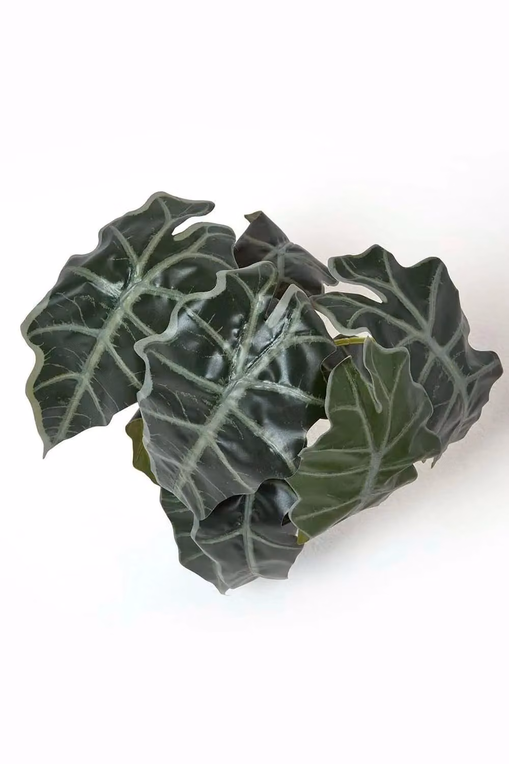 Homescapes Artificial Elephant Ear Plant in Green Pot, Height: 50 cm – 2
