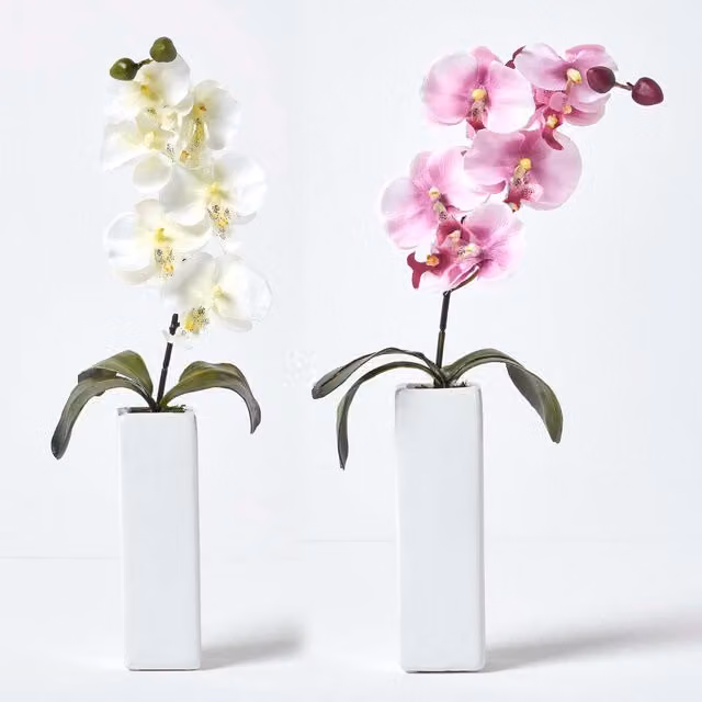 Homescapes Set of 2 Artificial Pink and Cream Orchids in Thin Cream Vases, Height: 43 cm