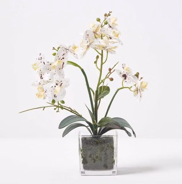 Homescapes White Artificial Orchid in a Glass Pot, Height: 42 cm