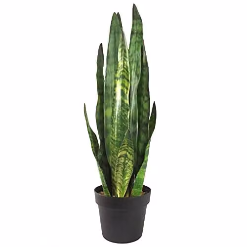 Leaf Design Green Artificial Sansevieria Zeylanica Potted Plant, Height: 70 cm