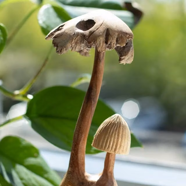 Serenityy Handmade Parasite Wood Mushroom Carving Set of Two in Natural Brown
