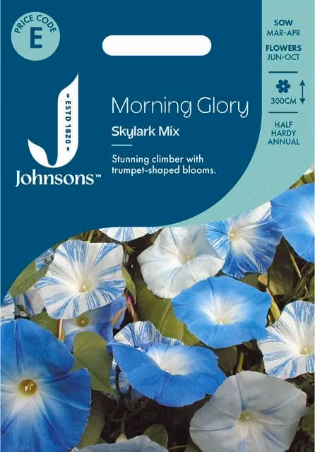 Johnsons Seeds Morning Glory Skylark Mixed Blue Climbing Flower Seeds