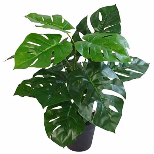 Leaf Large Green Artificial Monstera Plant, Height: 120 cm – 2