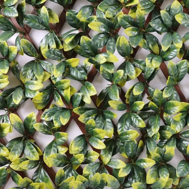 Samuel Alexander Green Gardenia Leaf Artificial Hedge Privacy Screen, W/H: 200 x 100 cm