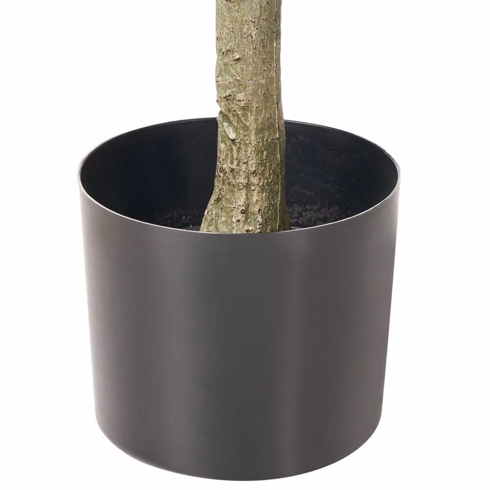 Wyld and Coco 160cm Realistic Green Artificial Potted Plant – 3