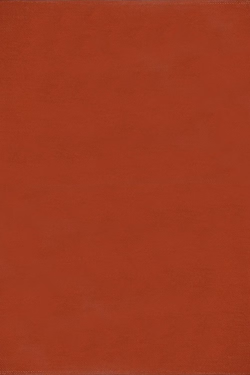 THE RUGS Reversible Weatherproof Outdoor Garden Patio Rug Solid Urban 1000 in Terracotta, W/D: 120 x 160 cm – 2
