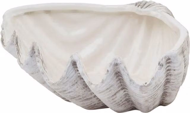 Hill Interiors Siren Ceramic Shell Bowl in White
