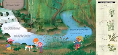 Nosy Crow National Trust: Look What I Found by the River Multicolour Paper Book – 2
