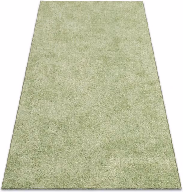 RugsX Serenade Wall-To-Wall Carpet in Green