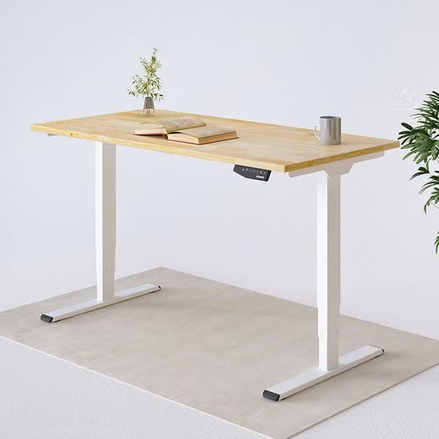 FlexiSpot E5 Electric Height Adjustable Standing Desk in White
