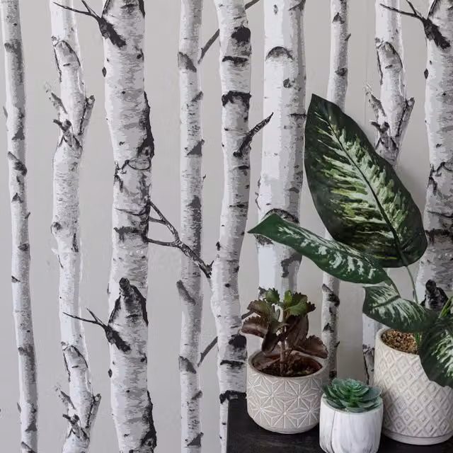 Nu Birch Tree Self Adhesive Wallpaper in Grey
