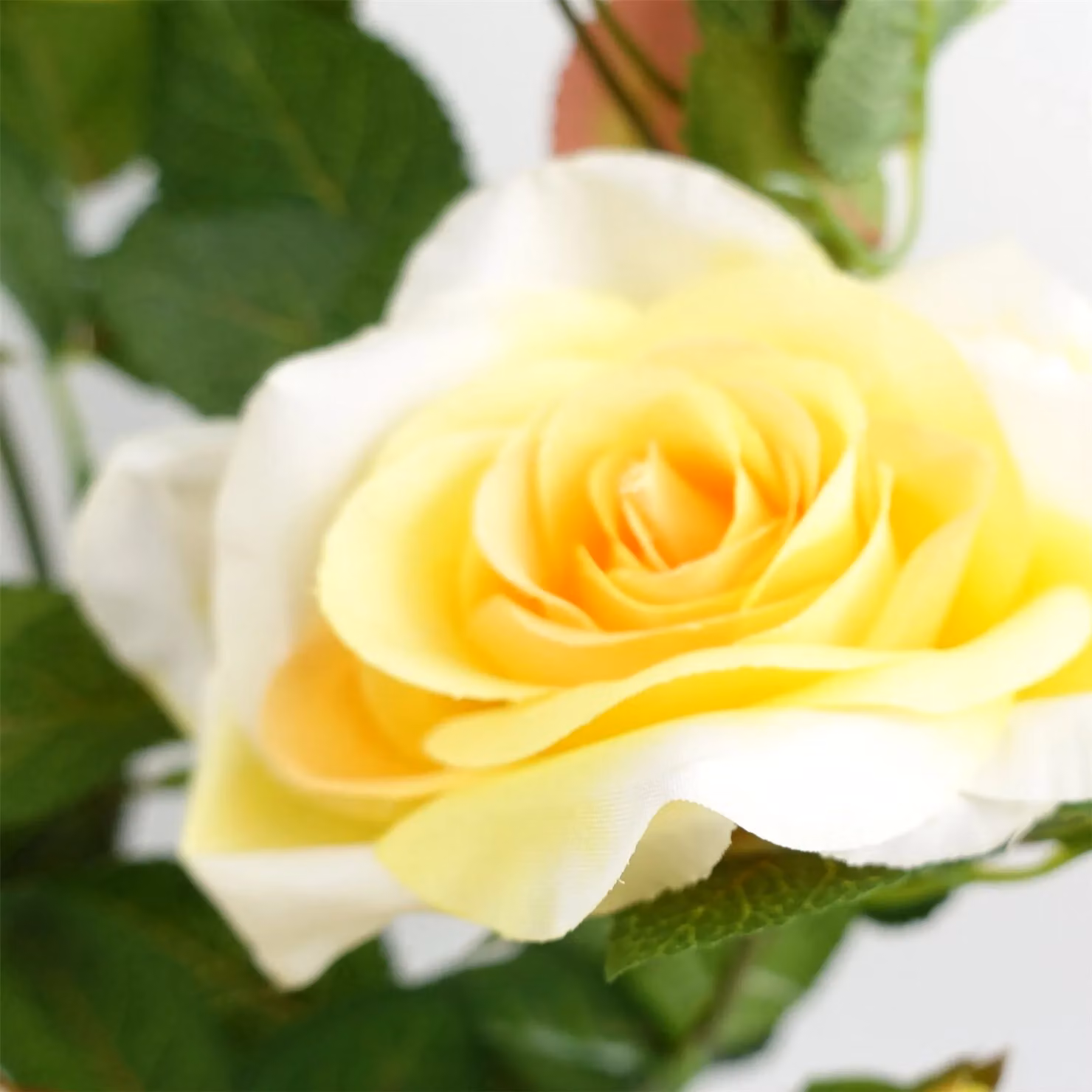 Leaf Design UK Potted Artificial Yellow Rose Plant, 50 cm – 3