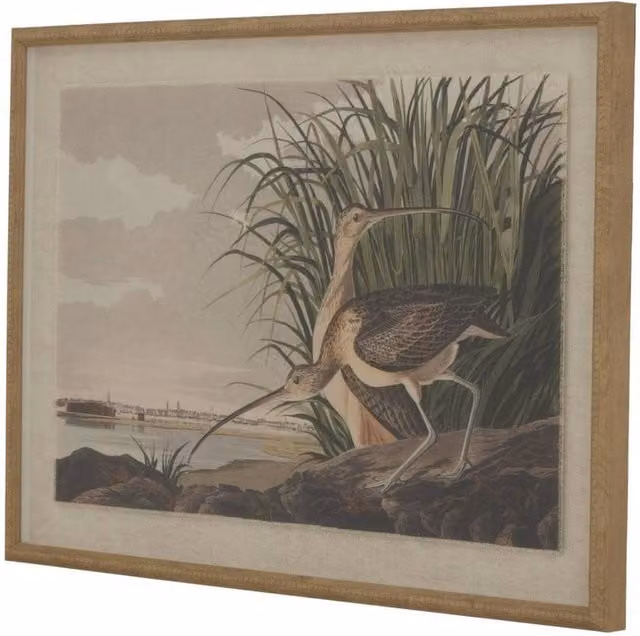 Hill Interiors Flora & Fauna Collection Beaded Lined Framed Wall Art in Dark Brown and Multicolour