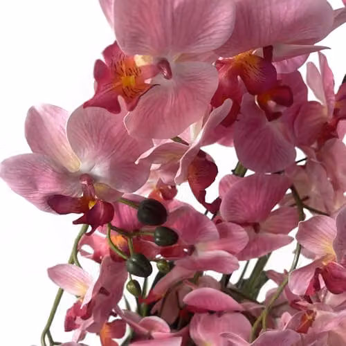 Leaf UK Pink Orchid Potted Artificial Plant Display, Height: 150 cm – 4