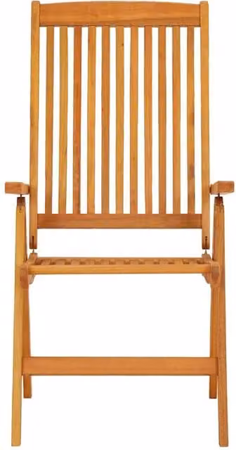 Berkfield Home Beautiful Folding Garden Chairs, Set of 2, Brown Solid Wood Eucalyptus