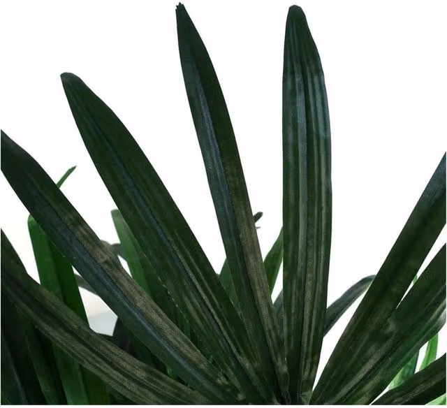 Dyzi 100 cm Artificial Raphis Palm Tree in Green and Black