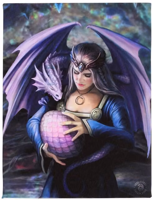 Anne Stokes Siblings Dragon Print Canvas Wall Plaque in Multicolour