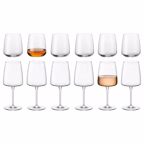 Bormioli Rocco Nexo 12-Piece Wine Glass Set in Transparent Glass
