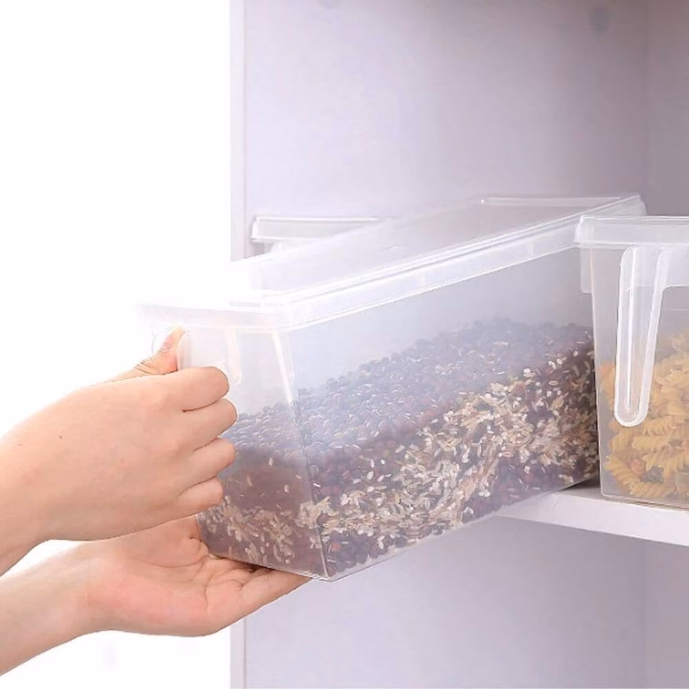 FORGEVIO Set of 4 Transparent Plastic Fridge Box Holders with Snap Lids – 2