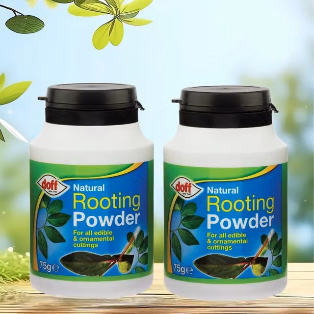 Doff Natural Plant Rooting Powder, 75 g