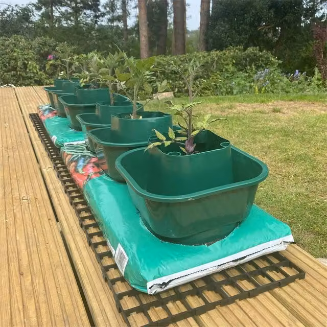 SPETLEK 6 Pack Green Bottomless Tomato Ring Grow Bag Watering Pots – 1