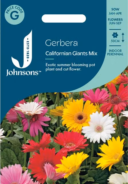 Johnsons Seeds Gerbera Californian Giants Mix Multicolour Flower Seeds