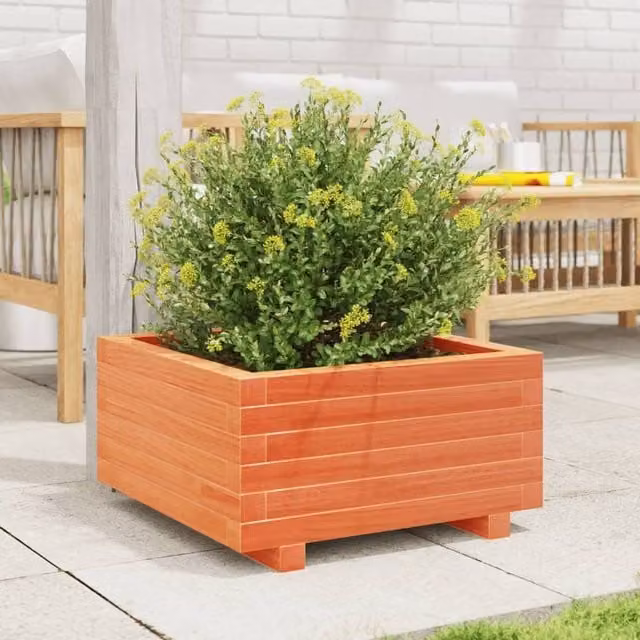 Berkfield Home Decorative Garden Planter in Brown Solid Wood Pine, W/D/H: 50 x 50 x 26.5 cm