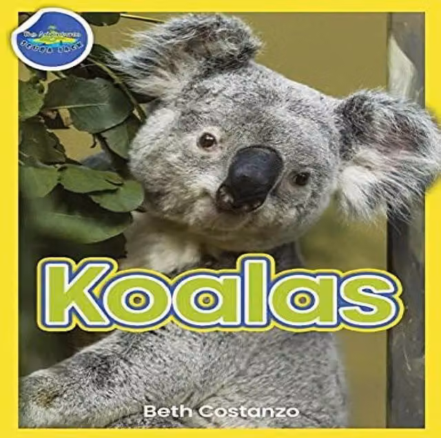 Beth Costanzo Koala Activity Workbook for children ages 4-8, multicolour paperback
