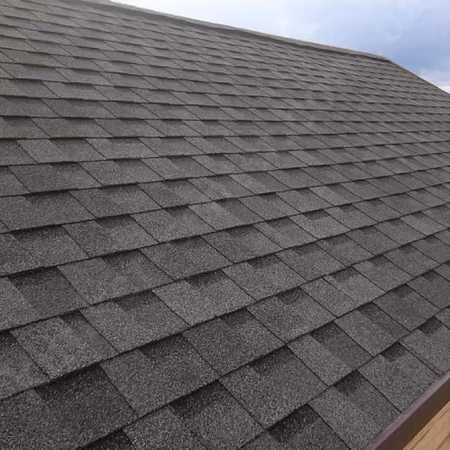 Garden Sanctuary Pack of 14 Laminated Roofing Asphalt Shingles, Black