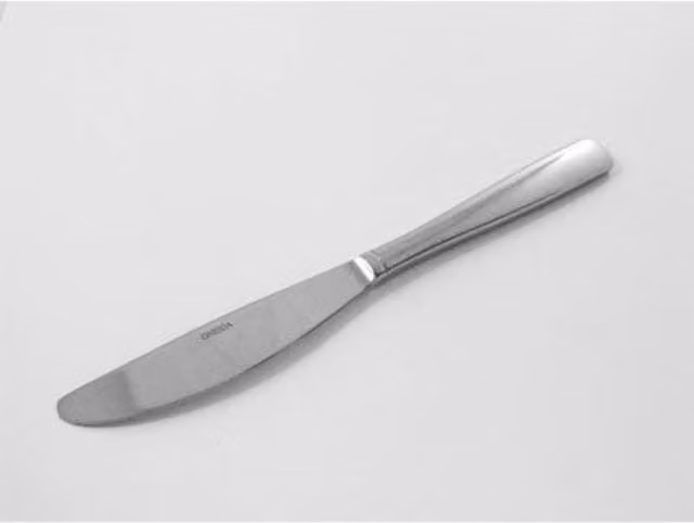 Orsina Sl Andorra Silver Polished Stainless Steel Table Knife