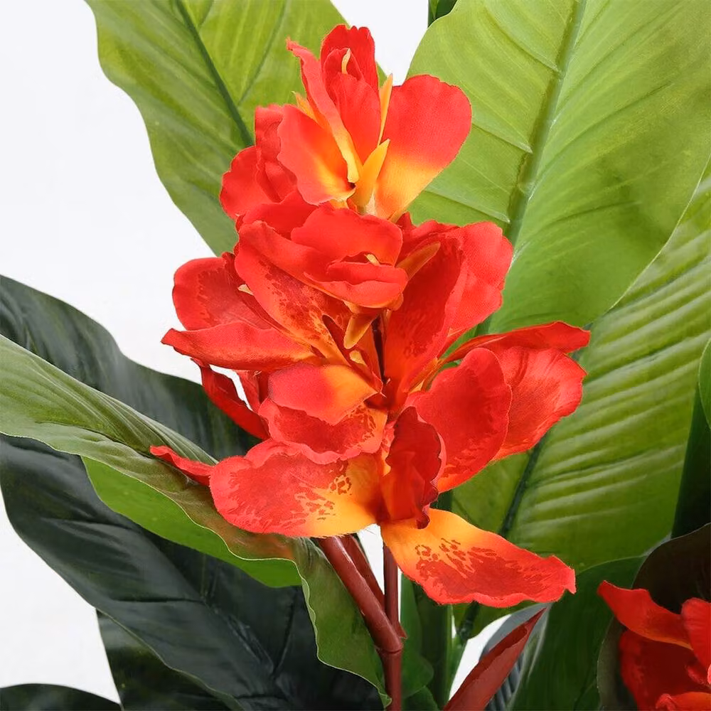 FLAVORA Red Artificial Canna Lily Tropical Flower Tree in Pot, W/D/H: 100 x 100 x 100 cm – 2