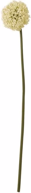 Hill Interiors Allium Stem Artificial Plant in White and Multicolour