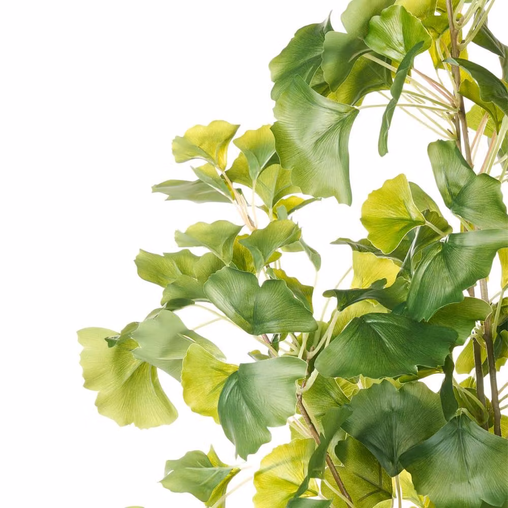 Wyld and Coco Green Artificial Potted Tree, Height: 150 cm – 4