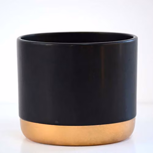 Thompson and Morgan Black and Gold Round Ceramic Plant Pot for Indoor House Plants and Succulents