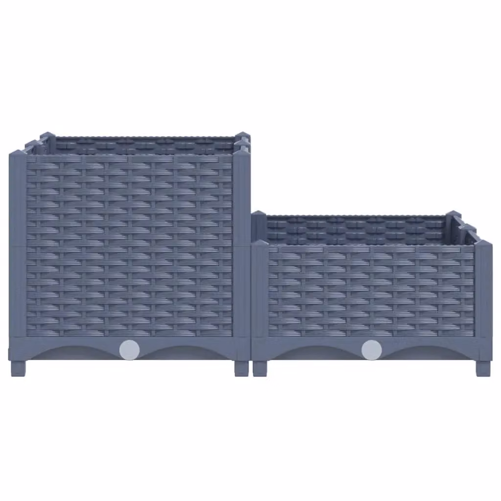 Berkfield Home Grey Polypropylene Raised Bed W/D/H: 80 x 80 x 38 cm – 2